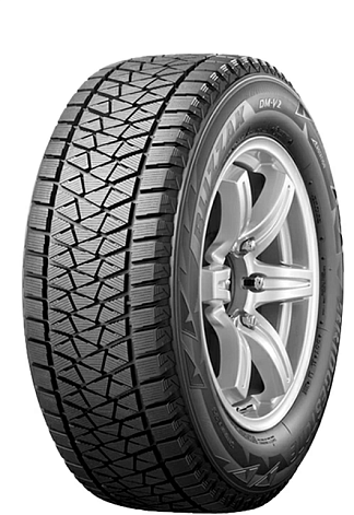 Купити шини Bridgestone Blizzak DM-V2 265/55 R19 109T