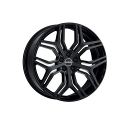 Kingdom gloss black
