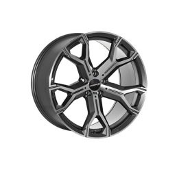 Bk5498 gp