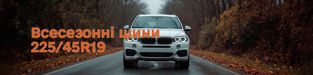 Всесезонні шини 225 45 19 проколесо