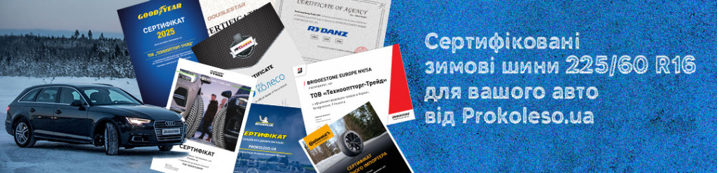 225 60 r16 зима в Проколесо