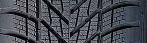 Шины Dunlop Winter