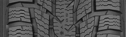 Шини Nokian Tyres WR C3