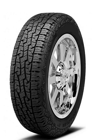 Купить шины Roadstone Roadian A/T Pro RA8 285/65 R17 116S