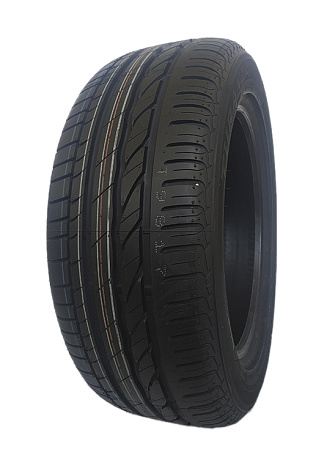 Купить шины Bridgestone Turanza ER300A 205/55 R16 91W