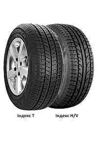 Купить шины Cooper Weather-Master SA2+ 195/65 R15 91T