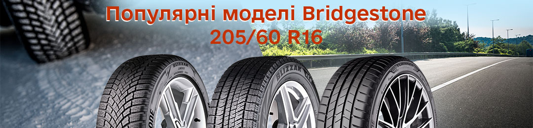 Популярні моделі 205 60 16